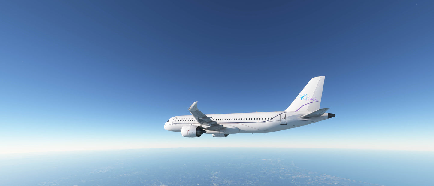 FYCYC-C919X